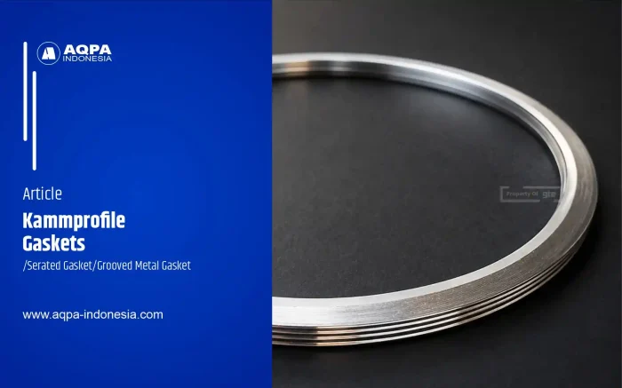 kammprofile gasket - serated gasket - grooved metal gasket